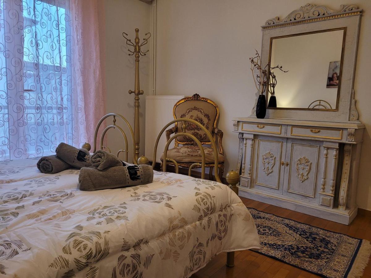City Center Apartment Arta Esterno foto